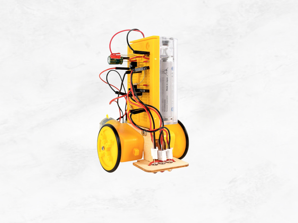 Robot Advent Calendar | Build Your Own Electronics Kit