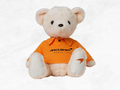 McLaren Teddy Bear I Finborough F1 Mascot I Norris Piastri  Papaya Orange