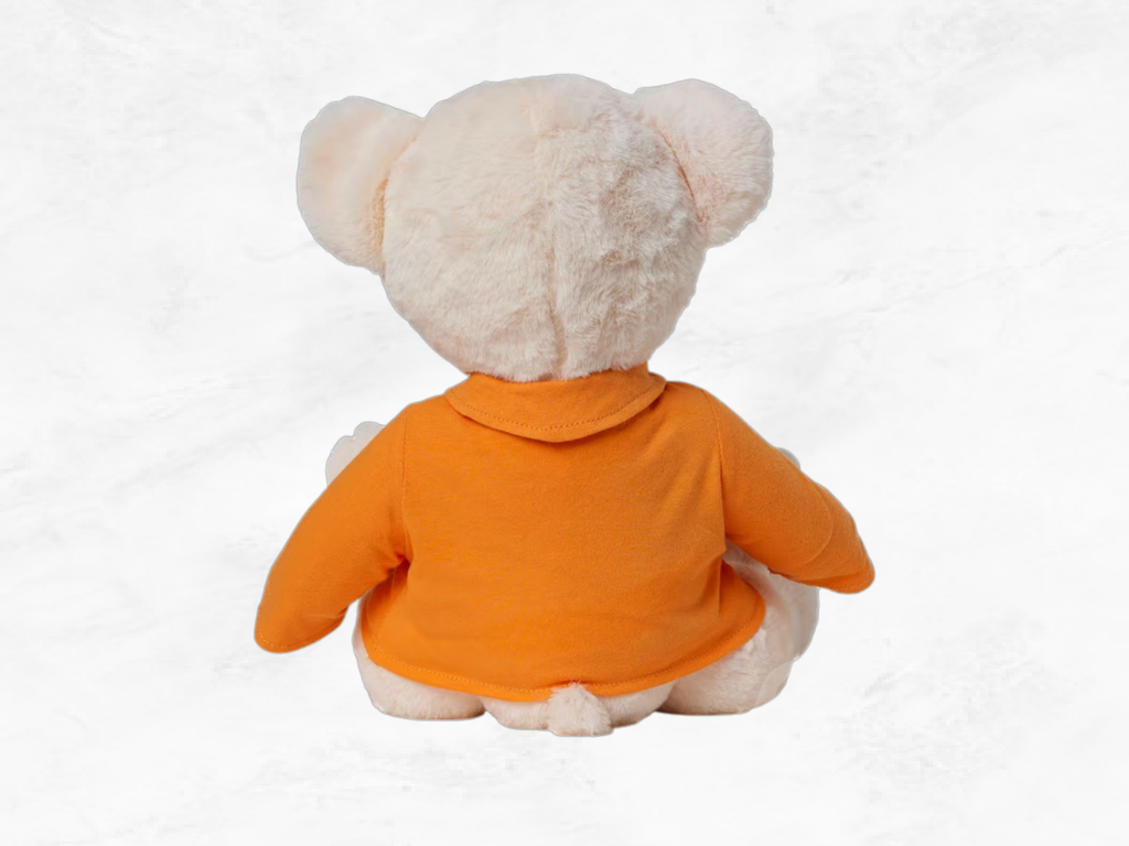 McLaren F1 Lando Norris Teddy Bear & Isothermal Bottle Set – Racing Plush Gift
